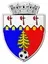 Raraul Campulung Moldovesc