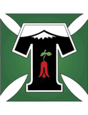 Deportes Temuco