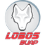 Lobos BUAP