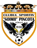 Şoimii Pâncota