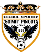 Şoimii Pâncota