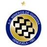 Mineros de Guayana