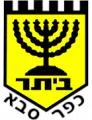 Beitar Kfar Saba Shlomi