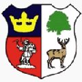 Cinderford Town