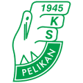 Pelikan Łowicz