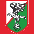 Sokół Kleczew