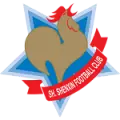 Shanghai Shenxin