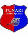 Tunari