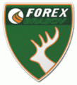 Forex Brasov