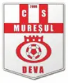 Muresul Deva