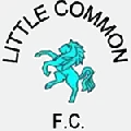 Little Common