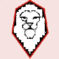 Salford City
