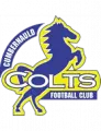 Cumbernauld Colts