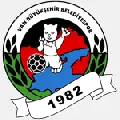 Vanspor FK