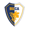 Bucaspor 1928