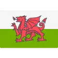 Wales U19 W