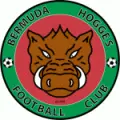 Bermuda Hogges
