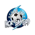 Ocean City Nor'easters