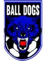 Ball Dogs