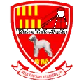 Bedlington Terriers FC