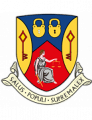 Willenhall Town