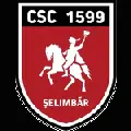 Viitorul Şelimbăr