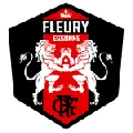 Fleury 91