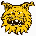 Ilves W
