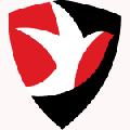 Cheltenham Town U18