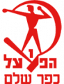 Hapoel Kfar Shalem