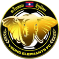 Young Elephant