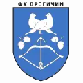 Drogichin