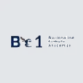 Be1 NFA