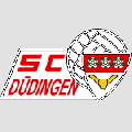 Düdingen
