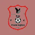 Sua Flamingoes