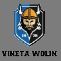 Vineta Wolin