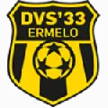 DVS '33