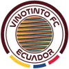 Vinotinto FC