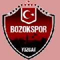 Yozgat Bld Bozokspor
