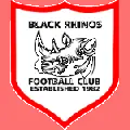 Black Rhinos