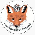Stade Renard