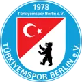 Turkiyemspor