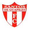 Santos de Guápiles