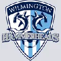 Wilmington Hammerheads