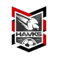 Holland Park Hawks