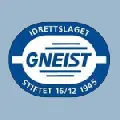 Gneist