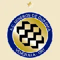 Mineros de Guayana