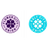 Flower City Union