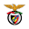 Penya Encarnada