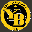 Young Boys U19
